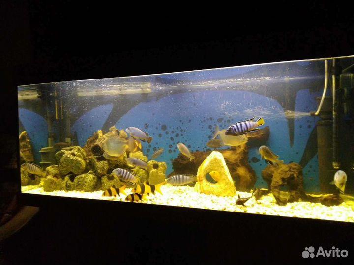 Аквариум