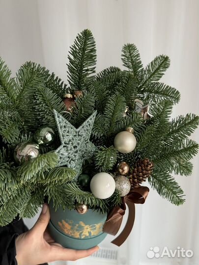 Новогодний подарочный букет живой