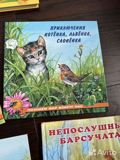 Книги для детей пакетом Приключения зайчонка