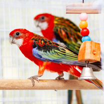 Жетілген әйелдің үйдегі жеке порно фотосуреті