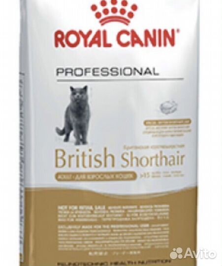 Корм Роял Канин 13 кг для британцев