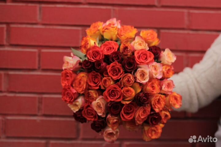 51 Роза Новосибирск