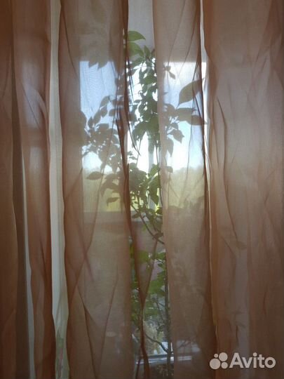 Комплект штор высота 265см