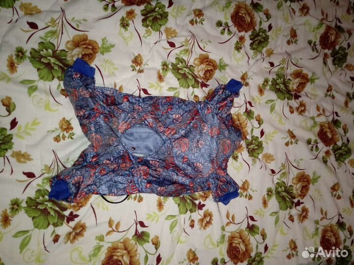 Одежда для собак мелких пород