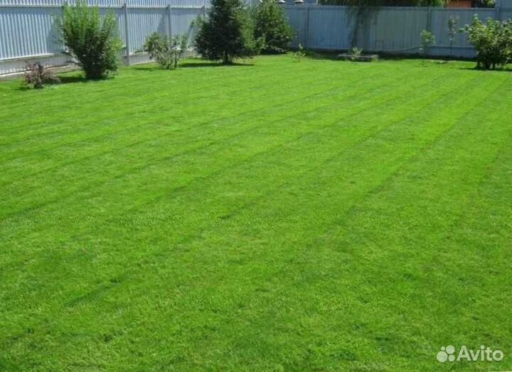 Газон. Семена мешок 10 кг