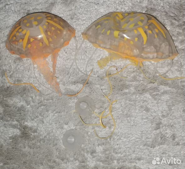 Медуза для аквариума