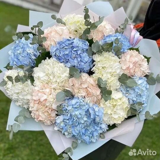 Гортензия с Доставкой до двери