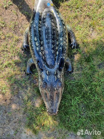 Надувной матрас 