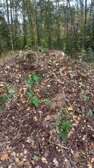 Участок 6 сот. (ИЖС)