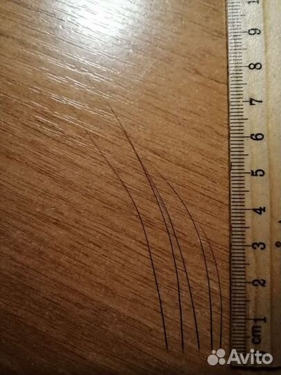 Кошачьи усы