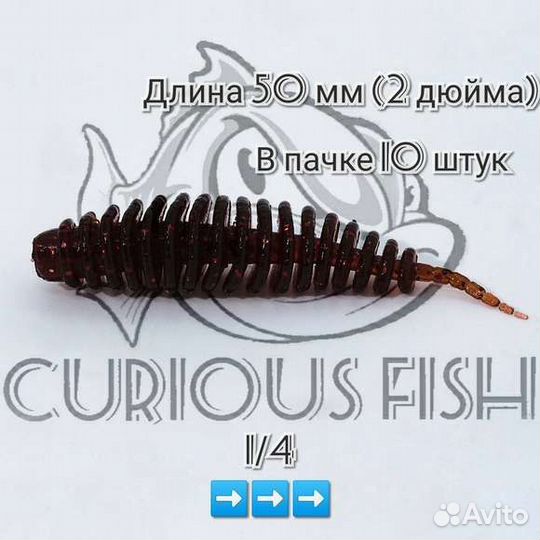 Curious Fish Leech Dance 2 дюйма (5см)