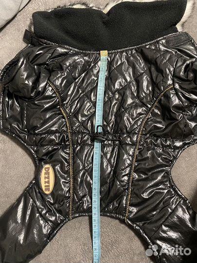 Одежда для собак