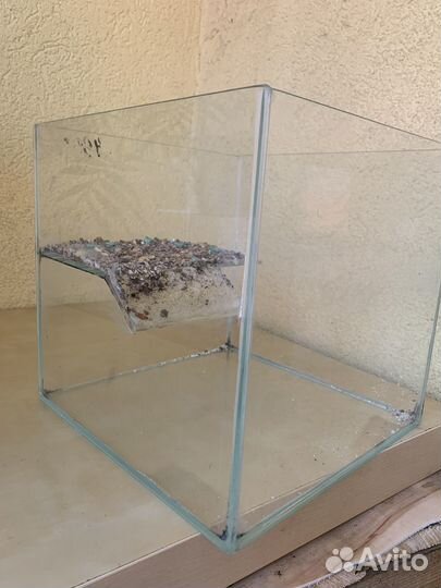 Аквариум черепашник