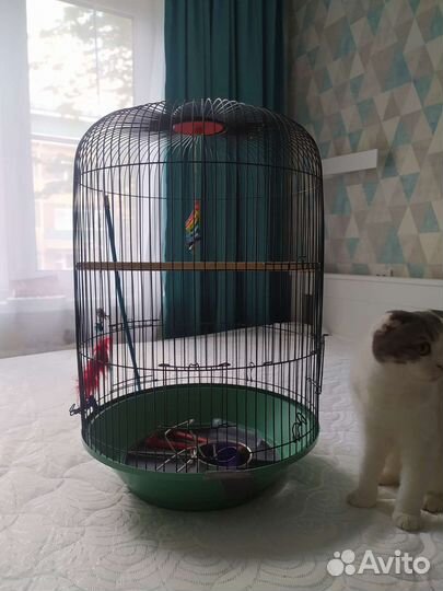 Клетка для попугая