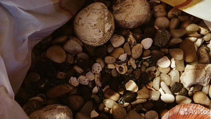 Разные морские камешки