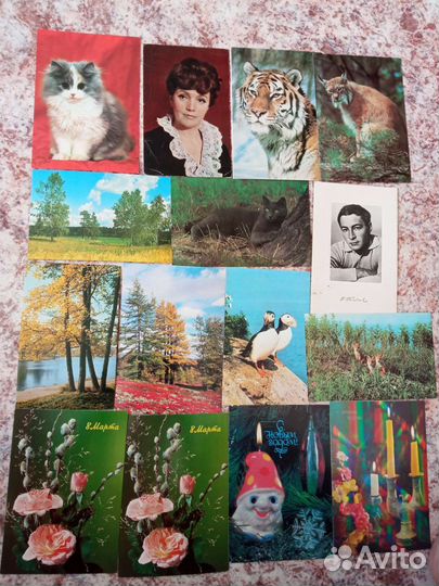 Открытки СССР