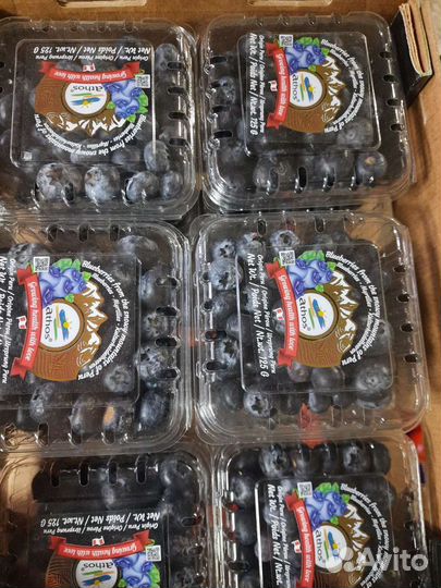 Голубика саежие каждый день почковой