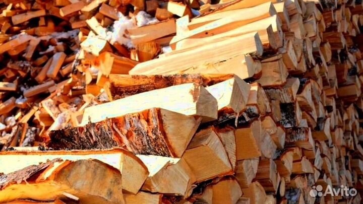 Дрова с Приморска