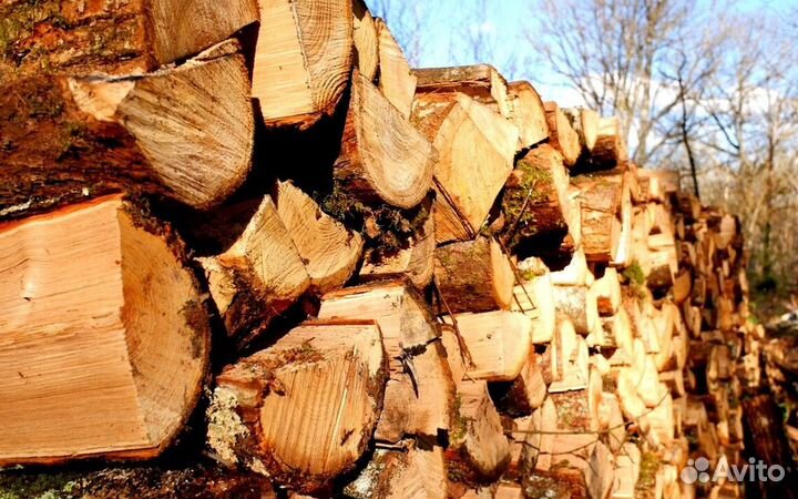 Дрова осина ольха