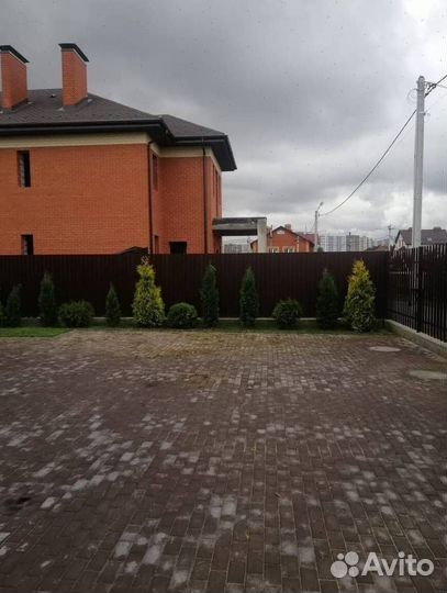 Смарагд вип экстра с гарантией приживаемости