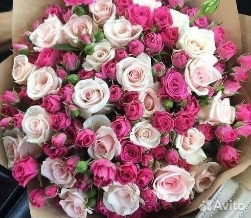 101 роза цветы букеты доставка 25 51 101 роза