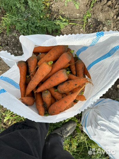 Доставка овощей и фруктов