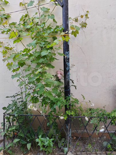 Комната 10 м², 1/1 эт.