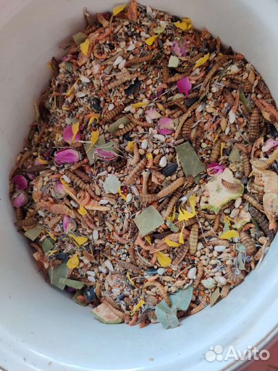 Корм для грызунов