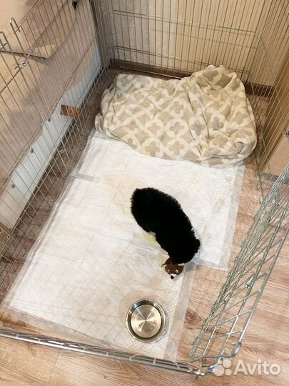 Вольер для собак в квартиру