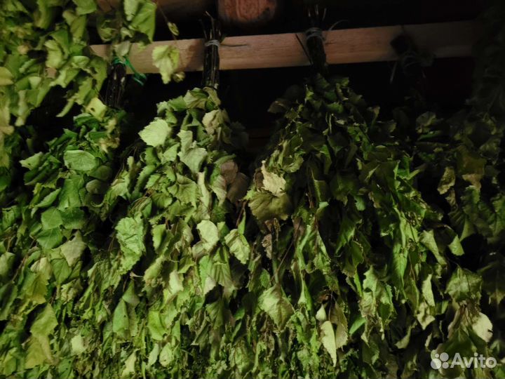 Веники для бани