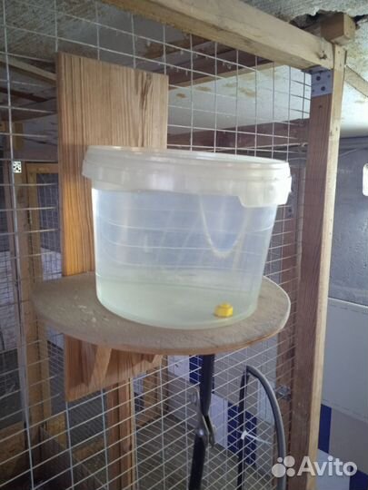 Поилки для кур