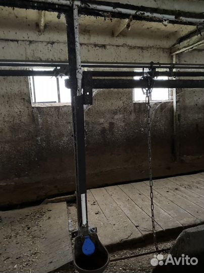 Система водопоения поилки чугунные