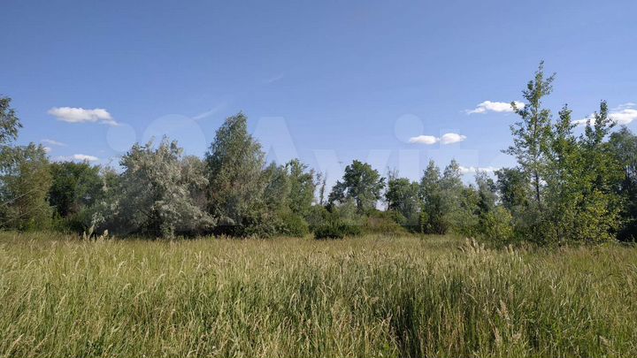 Участок 14 сот. (СНТ, ДНП)