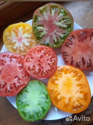 Семена сортовых томатов