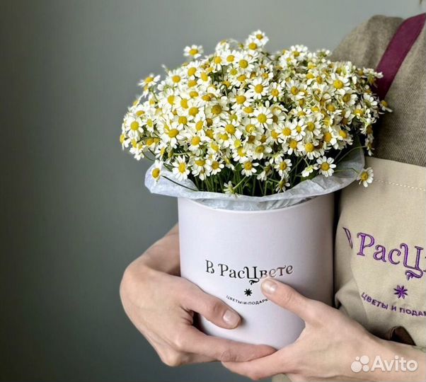 Ромашки цветы букеты