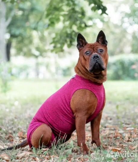 Попона для собак послеоперационная новая