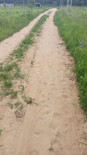 Участок 12 сот. (ИЖС)