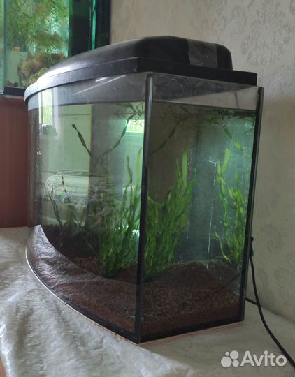 Аквариум телевизор 50л б/у не течет