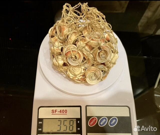 Ракушки морские и камушки