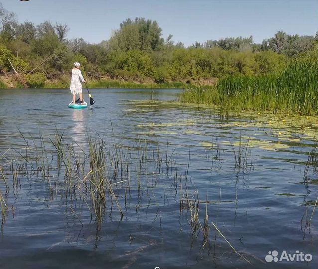 Сапборд сап аренда