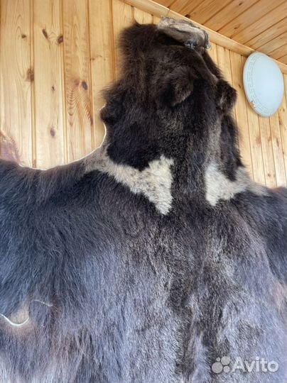 Шкура медведя (имитация)