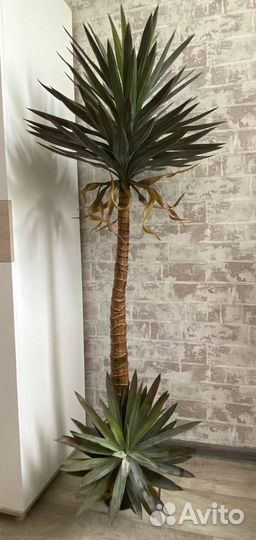 Искусственное дерево Агава