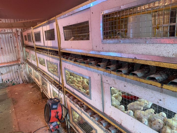 Участок 58 га (СНТ, ДНП)