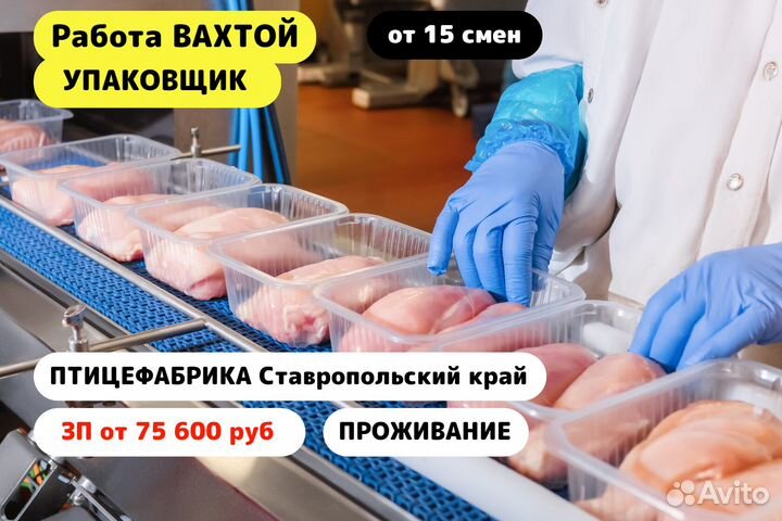 Вахта / Разнорабочий /Птицефабрика/ г.Невинномысск
