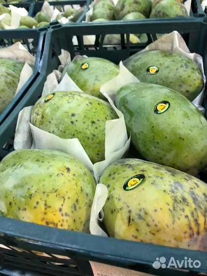 Манго Египет 2й сорт