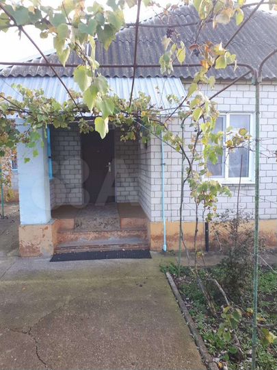 Дом 55 м² на участке 23 сот.