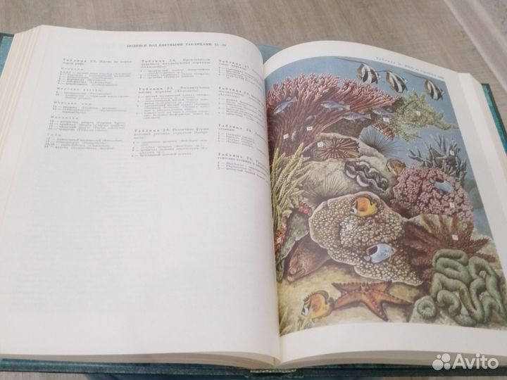 Жизнь Животных Часть 1-8