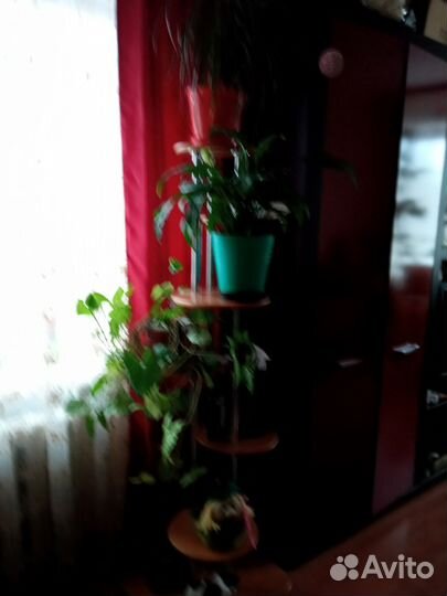 Полка для цветы напольная