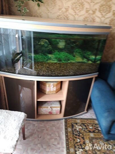 Аквариум с тумбой бу