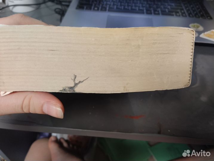 Книга Свита короля. Все ради игры